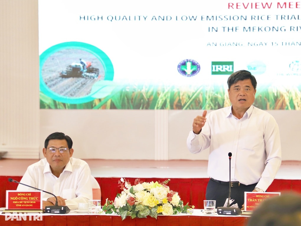 Nông dân ĐBSCL tăng lợi nhuận nhờ mô hình 1 triệu ha lúa chất lượng cao - 1 Nông dân ĐBSCL tăng lợi nhuận nhờ mô hình 1 triệu ha lúa chất lượng cao - 1