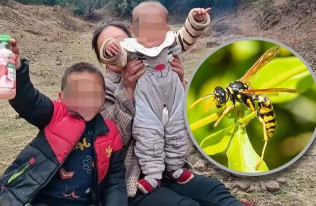 Nghe tiếng hét trong rừng, người dân đến kiểm tra thì chứng kiến cảnh đáng sợ- Ảnh 1.