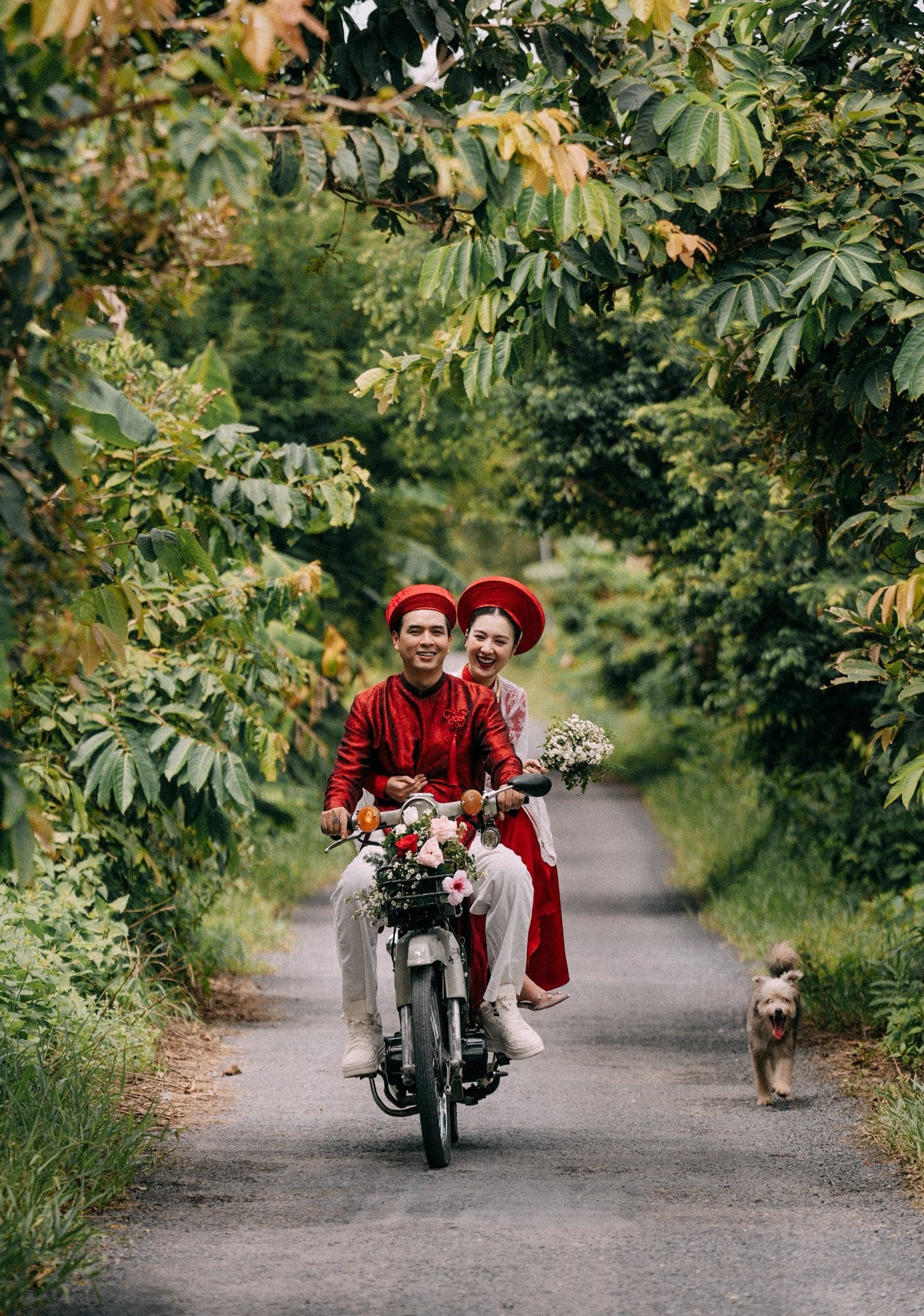 Hồ Quang Hiếu ảnh 2 Ho Quang Hieu anh 2