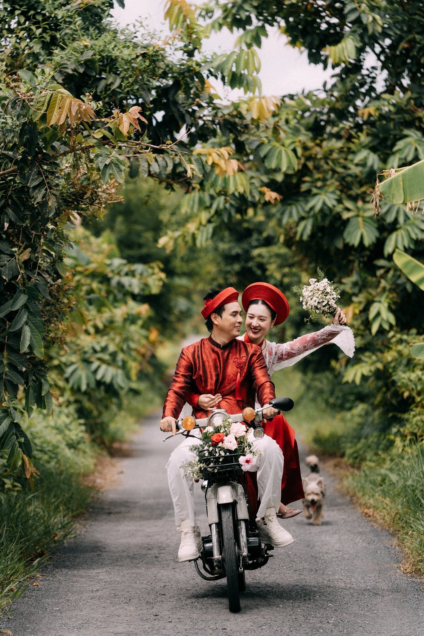 Hồ Quang Hiếu ảnh 1 Ho Quang Hieu anh 1