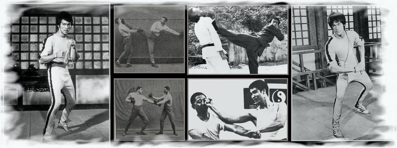 Lý Tiểu Long đã nghiên cứu các kỹ thuật của Savate