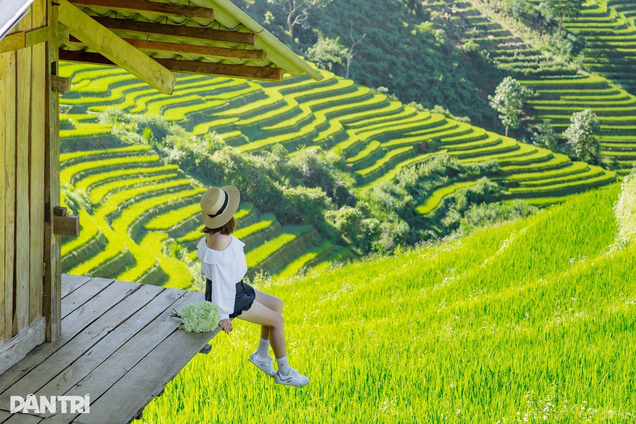 Sợ cảnh chen chúc check-in, khách tranh thủ lên Mù Cang Chải ngắm lúa sớm - 7
