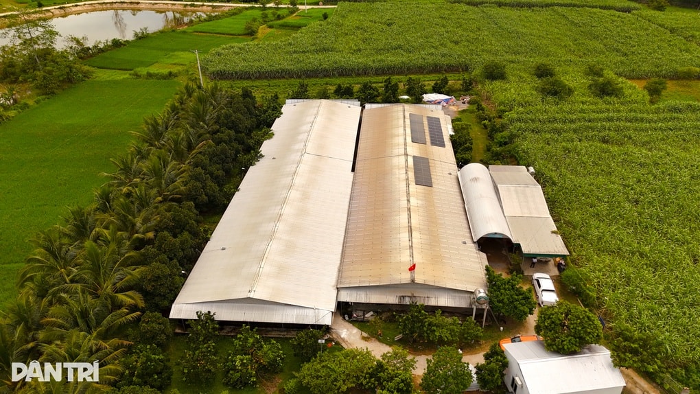 Khởi nghiệp với chuồng gà 5 triệu đồng, người đàn ông có nguồn thu chục tỷ - 1