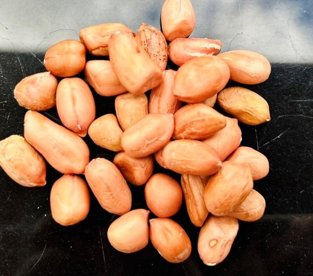 "Quả trường sinh" mọc trong đất, bổ dưỡng chẳng kém nhân sâm tổ yến - Ảnh 2.