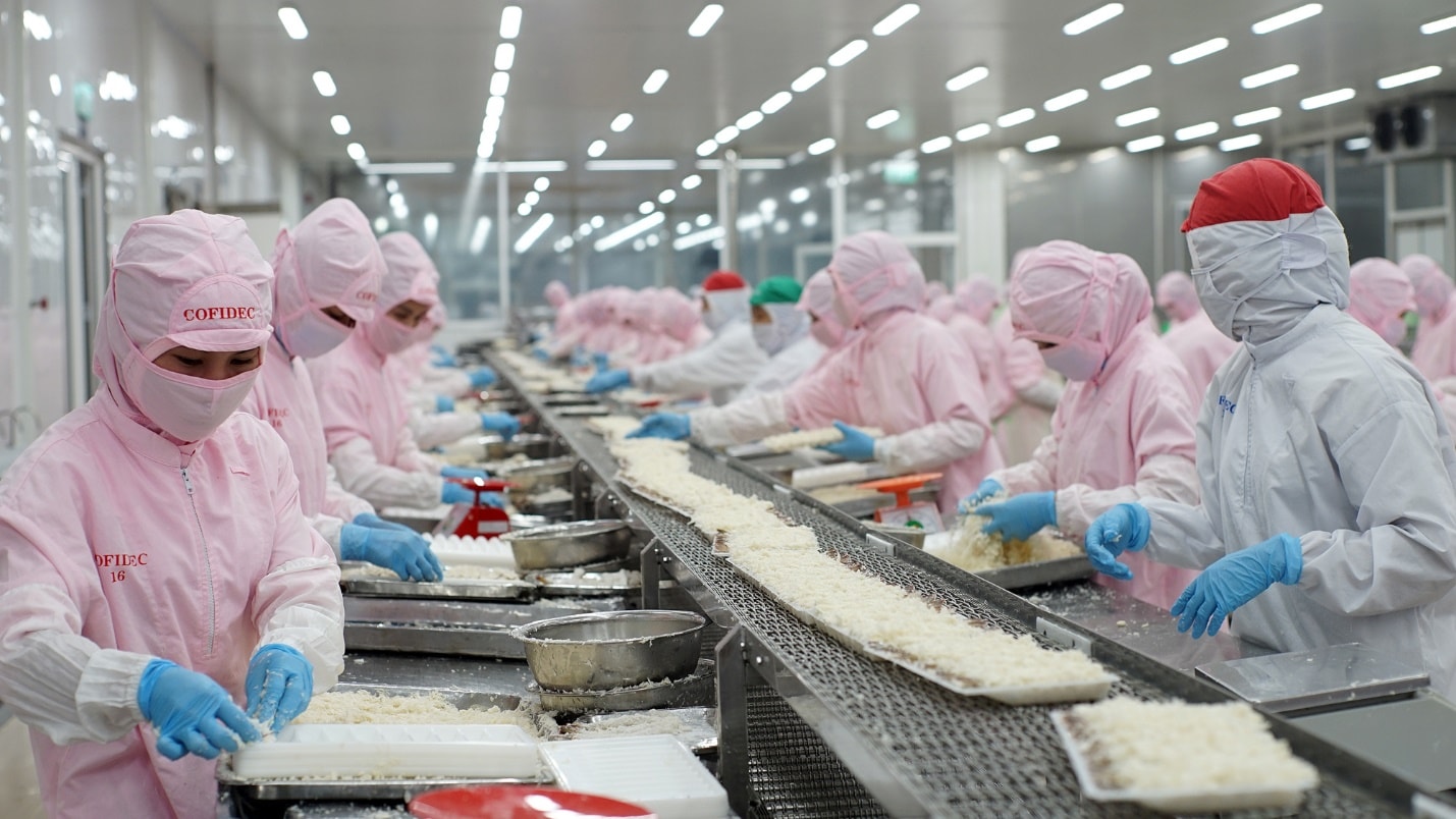 COFIDEC xanh hóa sản xuất, vươn tầm thủy sản Việt- Ảnh 2.