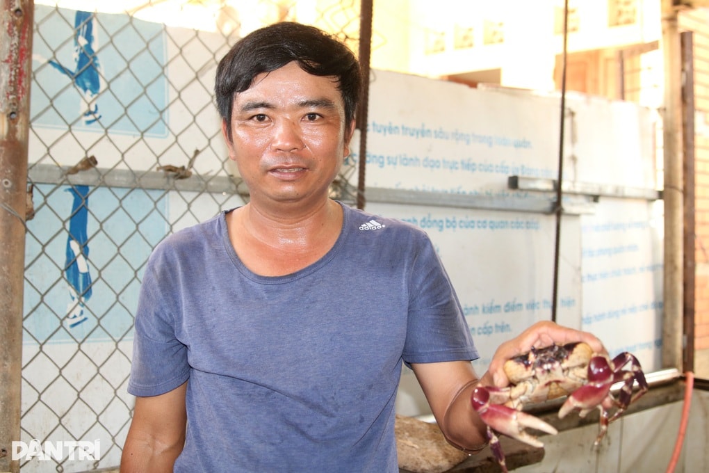 Đưa loài cấm đánh bắt vào bể nuôi, dân đảo thu trăm triệu đồng mỗi năm - 3