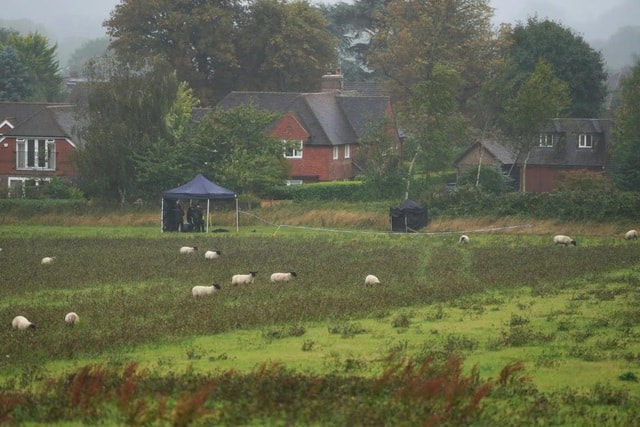 Người mẹ hai con mất tích và nỗ lực tìm kiếm của gia đình và cảnh sát - Ảnh 2.
