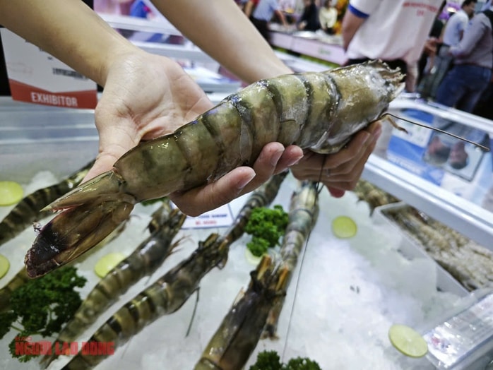 Trung Quốc trở thành thị trường nhập khẩu tôm số 1 của Việt Nam, vượt cả Mỹ - Ảnh 2.