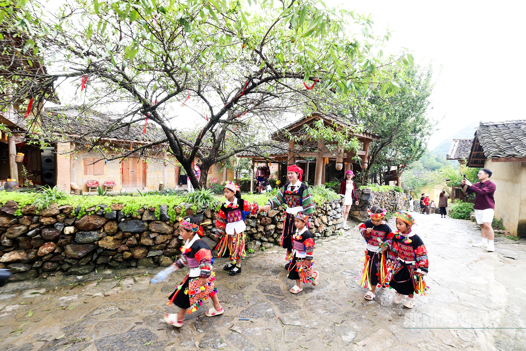 Lô Lô Chải, mê hoặc từ nếp nhà trình tường- Ảnh 4.