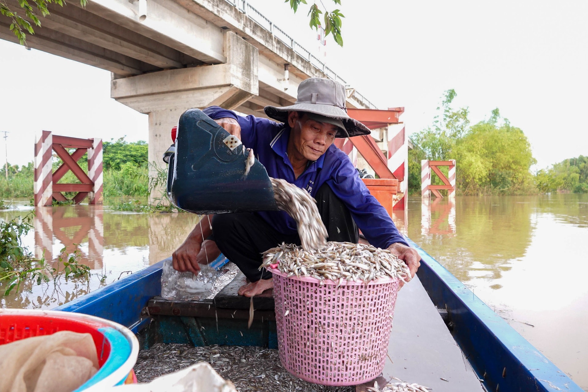 Trắng đêm săn lộc trời kiếm gần triệu đồng/ngày - 2