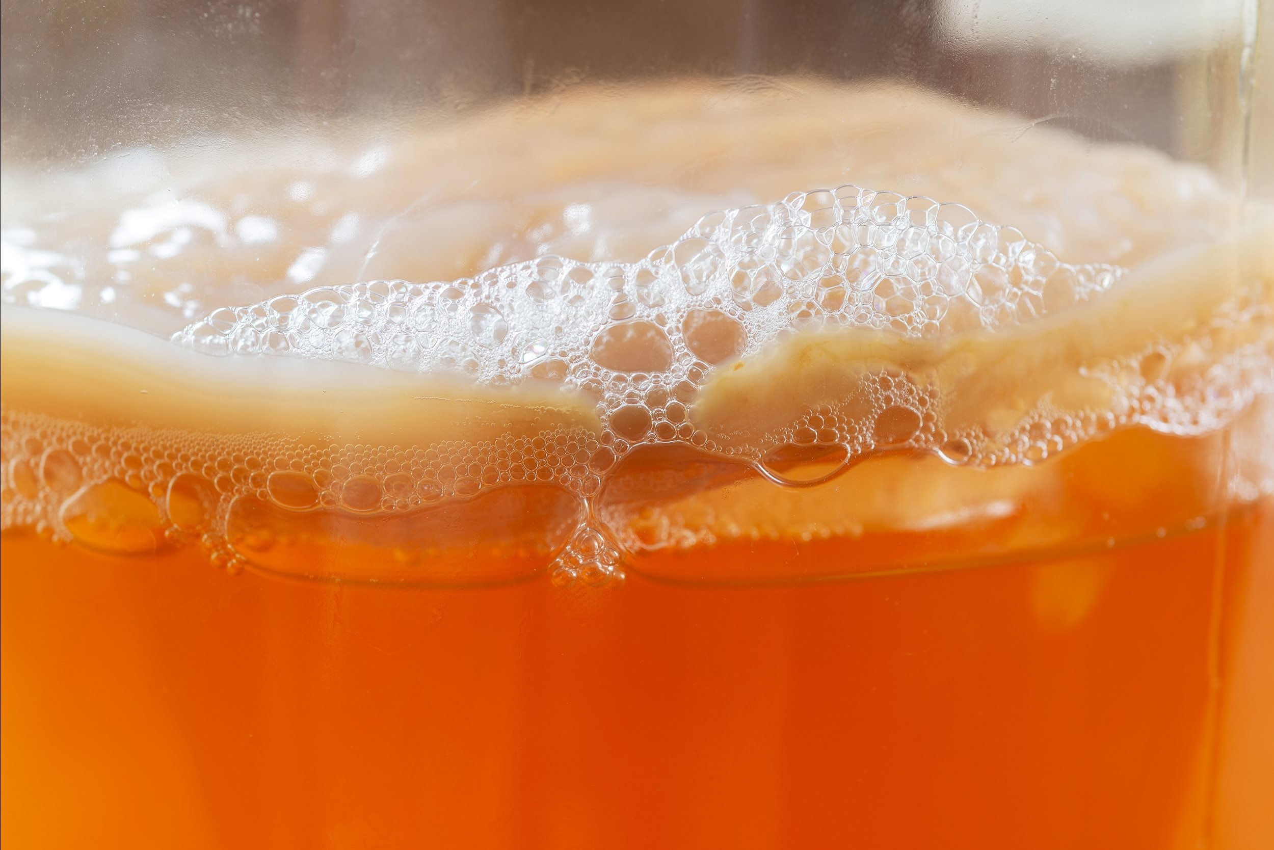 kombucha.jpg
