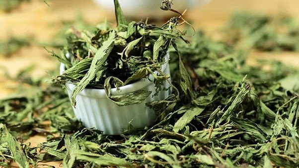 Loại thực vật ngọt hơn đường gấp 200 -300 lần nhưng lại rất tốt cho sức khỏe - Ảnh 3.