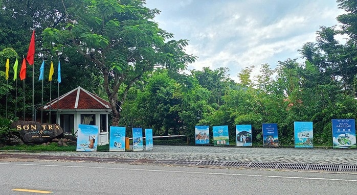  - Ảnh 1.