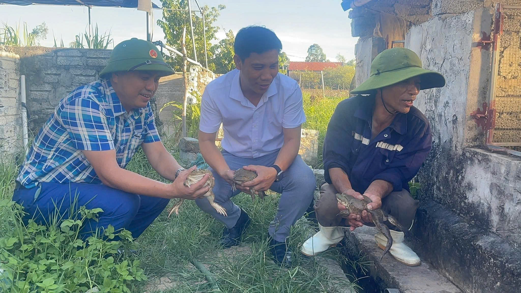 Nuôi con ngồi “chồm hổm” lão nông lãi hơn nửa tỷ mỗi năm - Ảnh 7.