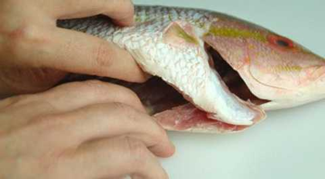 Điểm danh 5 bộ phận "bẩn nhất" của cá, đừng ăn kẻo tích tụ độc tố hại thân- Ảnh 1.