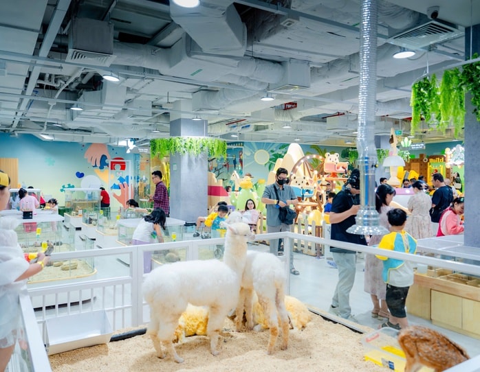 SC VivoCity kỷ niệm 10 năm gắn kết khách hàng- Ảnh 3.