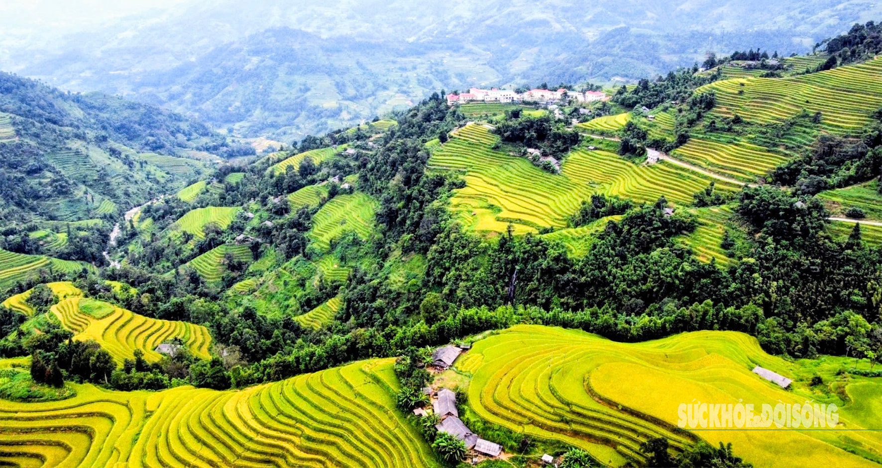 Mùa vàng Hoàng Su Phì bình yên giữa non cao Tây Côn Lĩnh- Ảnh 2.
