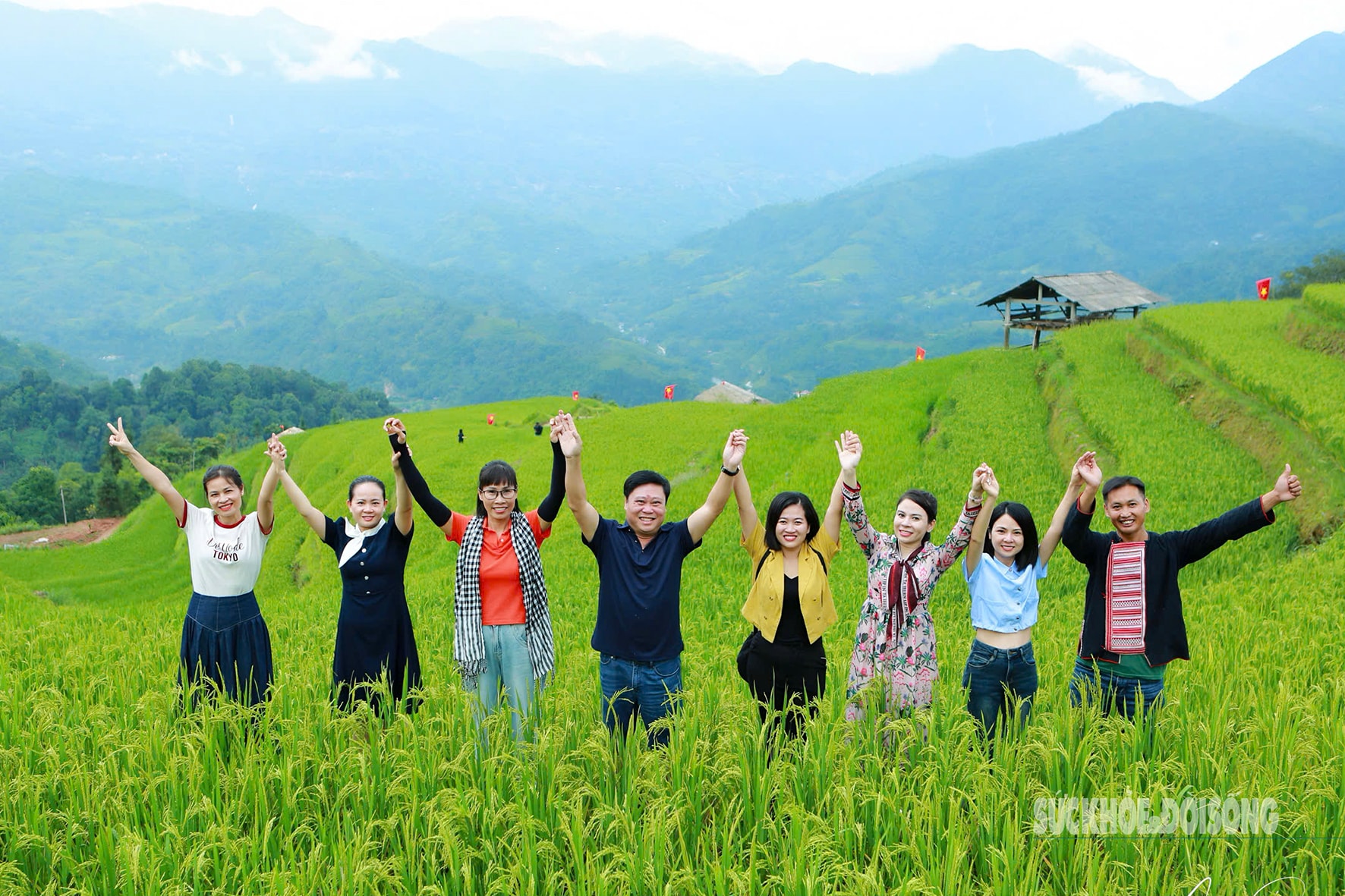 Mùa vàng Hoàng Su Phì bình yên giữa non cao Tây Côn Lĩnh- Ảnh 6.