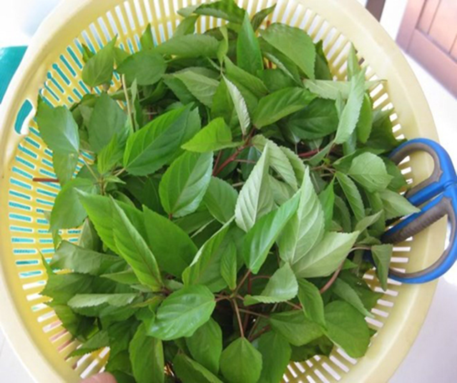 2 loại rau ít "ngậm" thuốc trừ sâu nhất chợ, nhất là cái số 1 rất quen - Ảnh 3.