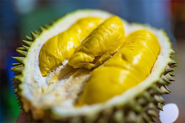 Gia đình du khách ăn sầu riêng 5 , 5 kg trước giờ bay ở Chiang Mai - Ảnh 4.