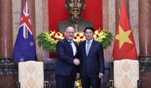 Chủ tịch nước Lương Cường tiếp Thủ tướng New Zealand Christopher Luxon