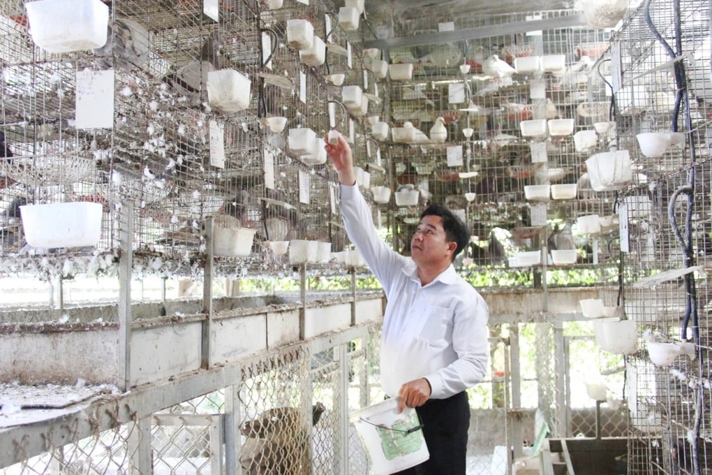 Thử sức với giống chim ngoại, nhẹ nhàng bỏ túi hơn 20 triệu đồng/tháng - 1 Thử sức với giống chim ngoại, nhẹ nhàng bỏ túi hơn 20 triệu đồng/tháng - 1