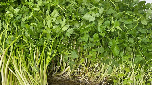 2 loại rau dễ là nơi "tổ ký sinh trùng" ẩn náu, nhất cái số 1 - Ảnh 1.