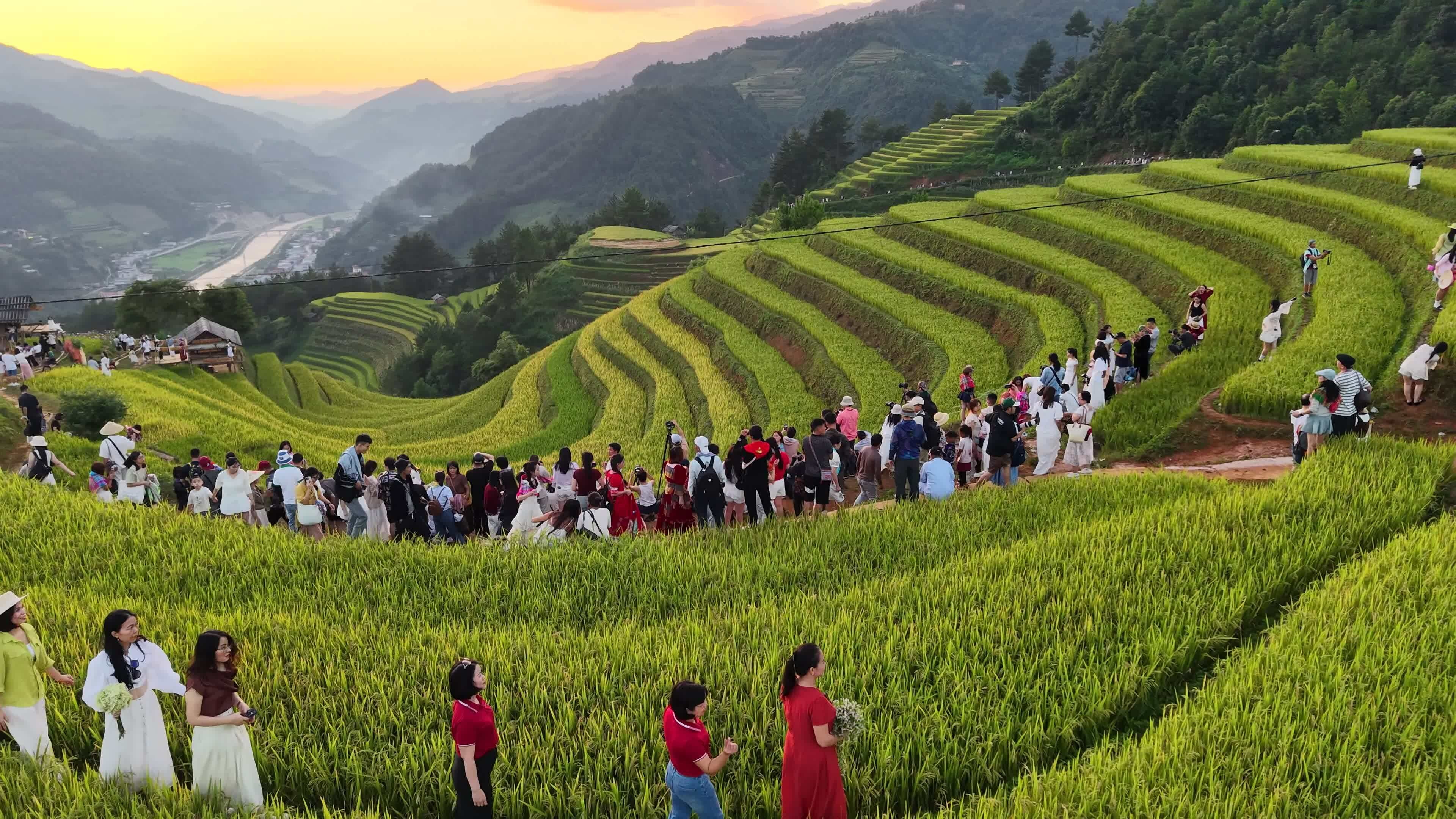 Khổ sở khi đi săn mùa vàng Mù Cang Chải
