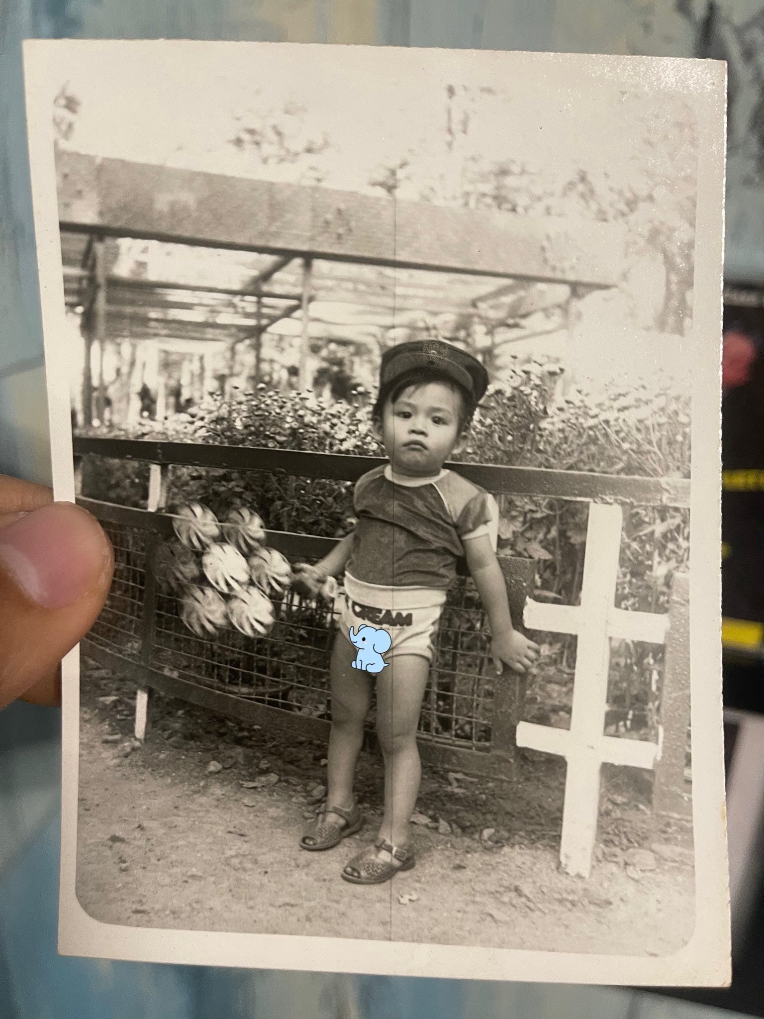 Hé lộ gia cảnh nhạc sĩ Nguyễn Văn Chung qua những hình ảnh thời thơ ấu- Ảnh 2. Hé lộ gia cảnh nhạc sĩ Nguyễn Văn Chung qua những hình ảnh thời thơ ấu- Ảnh 2.