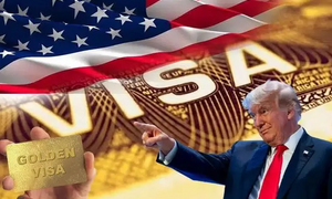 Thung lũng Silicon 'dậy sóng' trước phí thị thực 100.000 USD của ông Trump