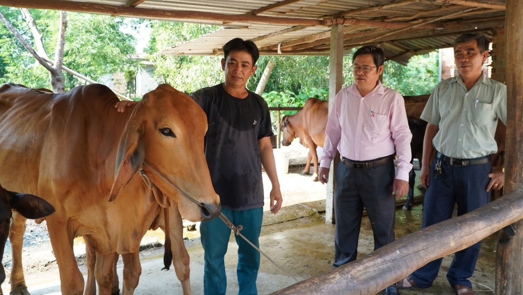 Tây Ninh quyết tâm không còn đói nghèo - 1 Tây Ninh quyết tâm không còn đói nghèo - 1