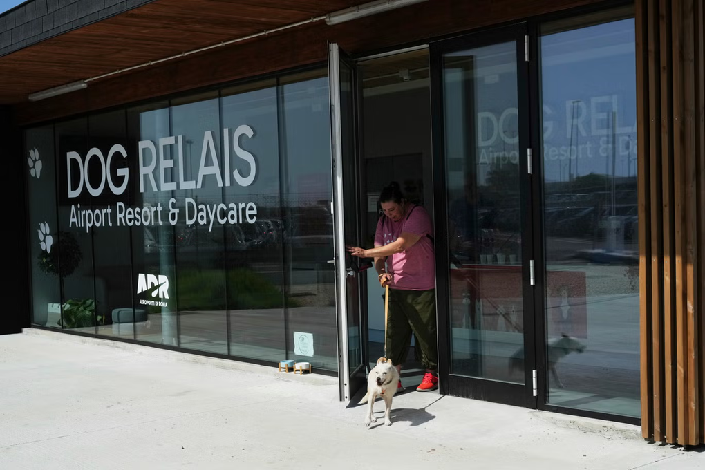 Sân bay Italy mở khách sạn cho chó cưng, có xoa bóp và nhạc thư giãn - 3