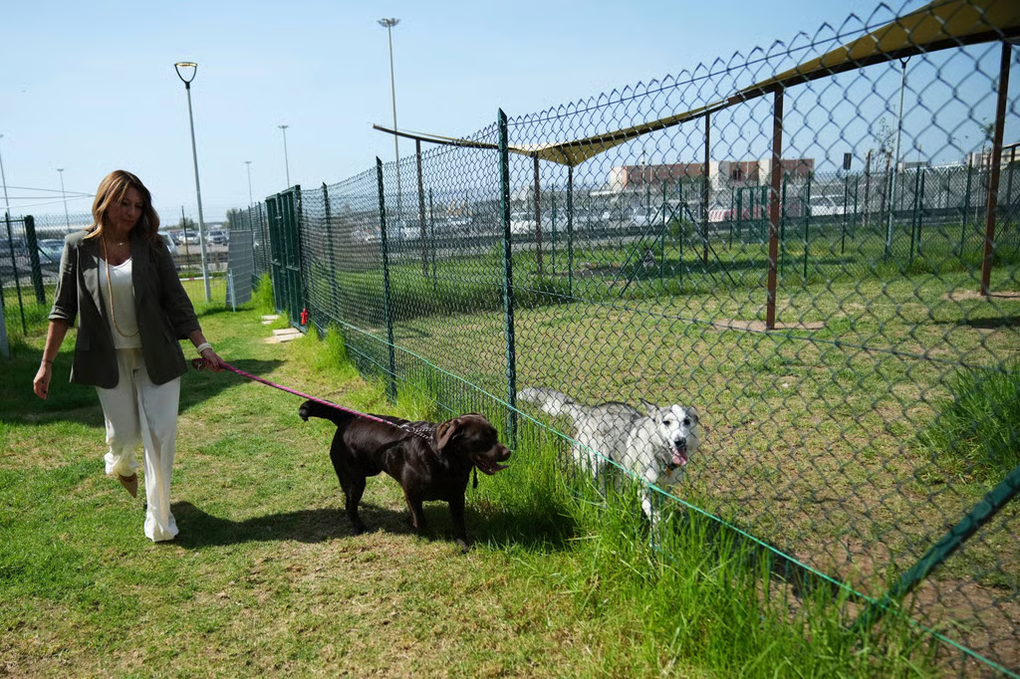 Sân bay Italy mở khách sạn cho chó cưng, có xoa bóp và nhạc thư giãn - 2