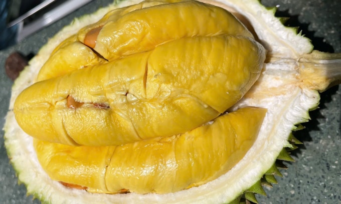 Musang King loại 1 cơm vàng đều, trái tròn. Ảnh: Phan Thị Hằng