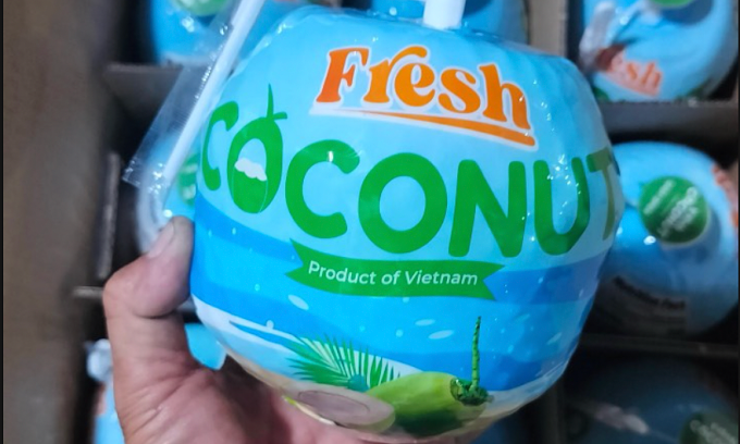 Dừa Việt đóng thùng xuất sang Mỹ. Ảnh: Vina T&T