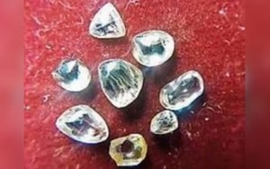 Cặp vợ chồng kinh ngạc khi phát hiện "báu vật bí ẩn" trong tường nhà - Ảnh 1.