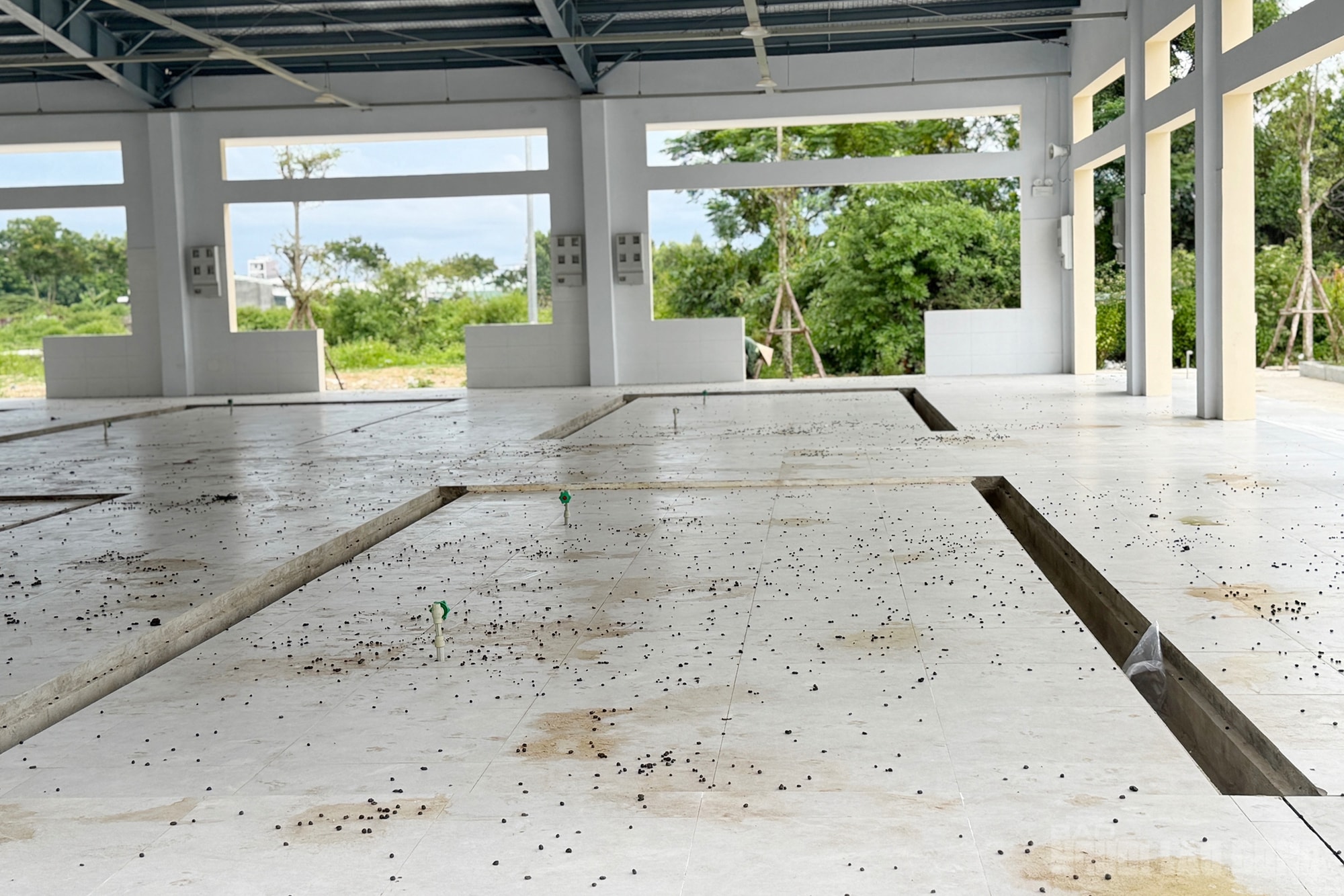 Phường ở Đà Nẵng giải thích lý do xây chợ tiền tỉ xa khu dân cư- Ảnh 4.