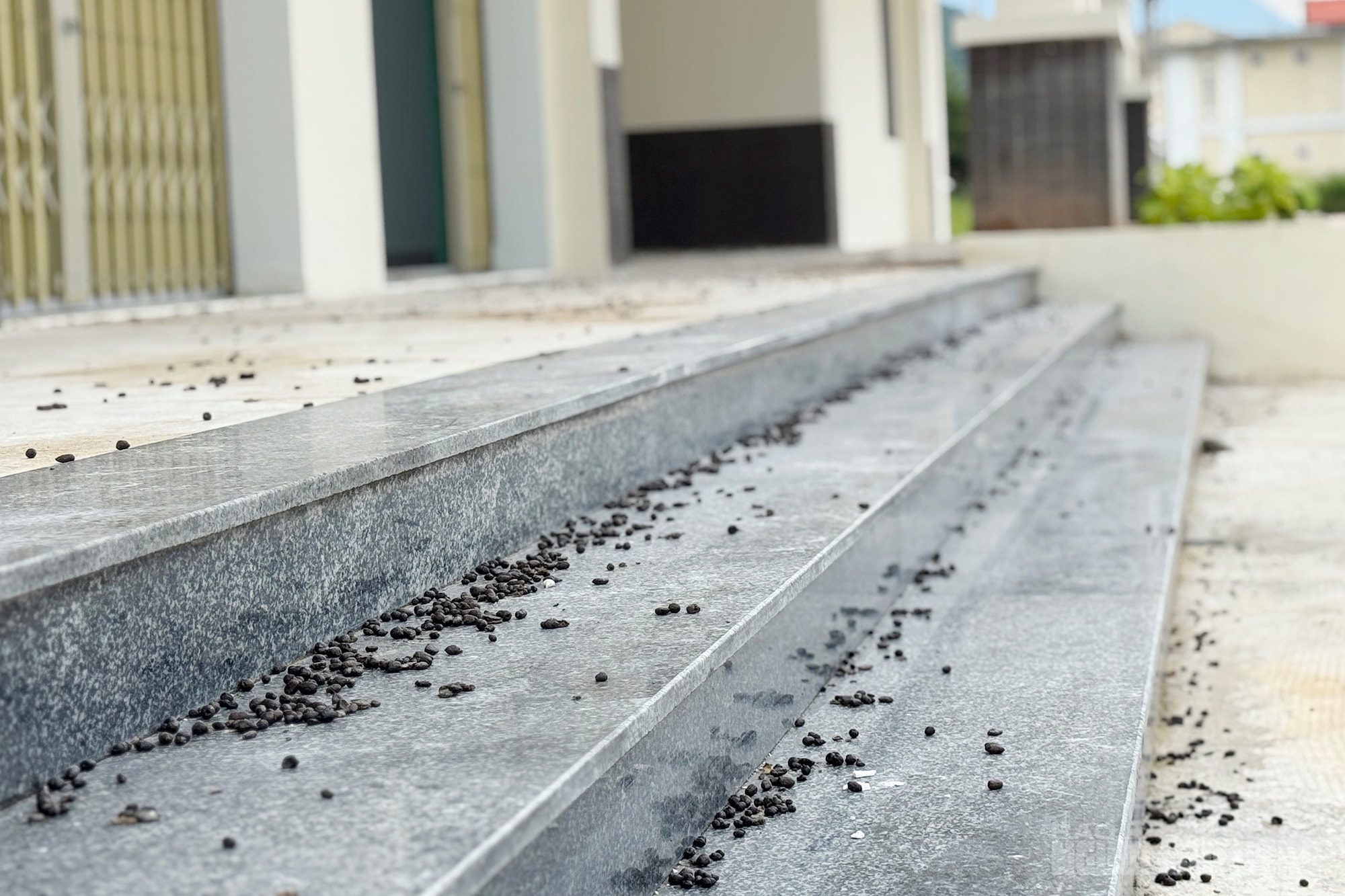 Phường ở Đà Nẵng giải thích lý do xây chợ tiền tỉ xa khu dân cư- Ảnh 5.