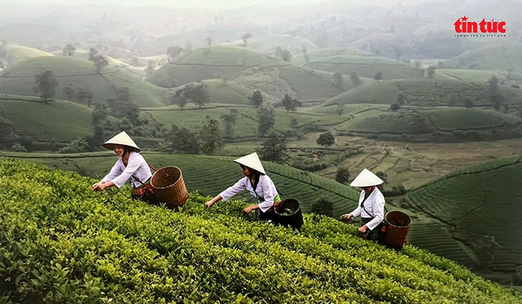 Chú thích ảnh