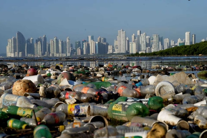 Ô nhiễm nhựa tại một khu vực rừng ngập mặn ở vịnh Panama, ngày 6/12/2024. Ảnh: Reuters