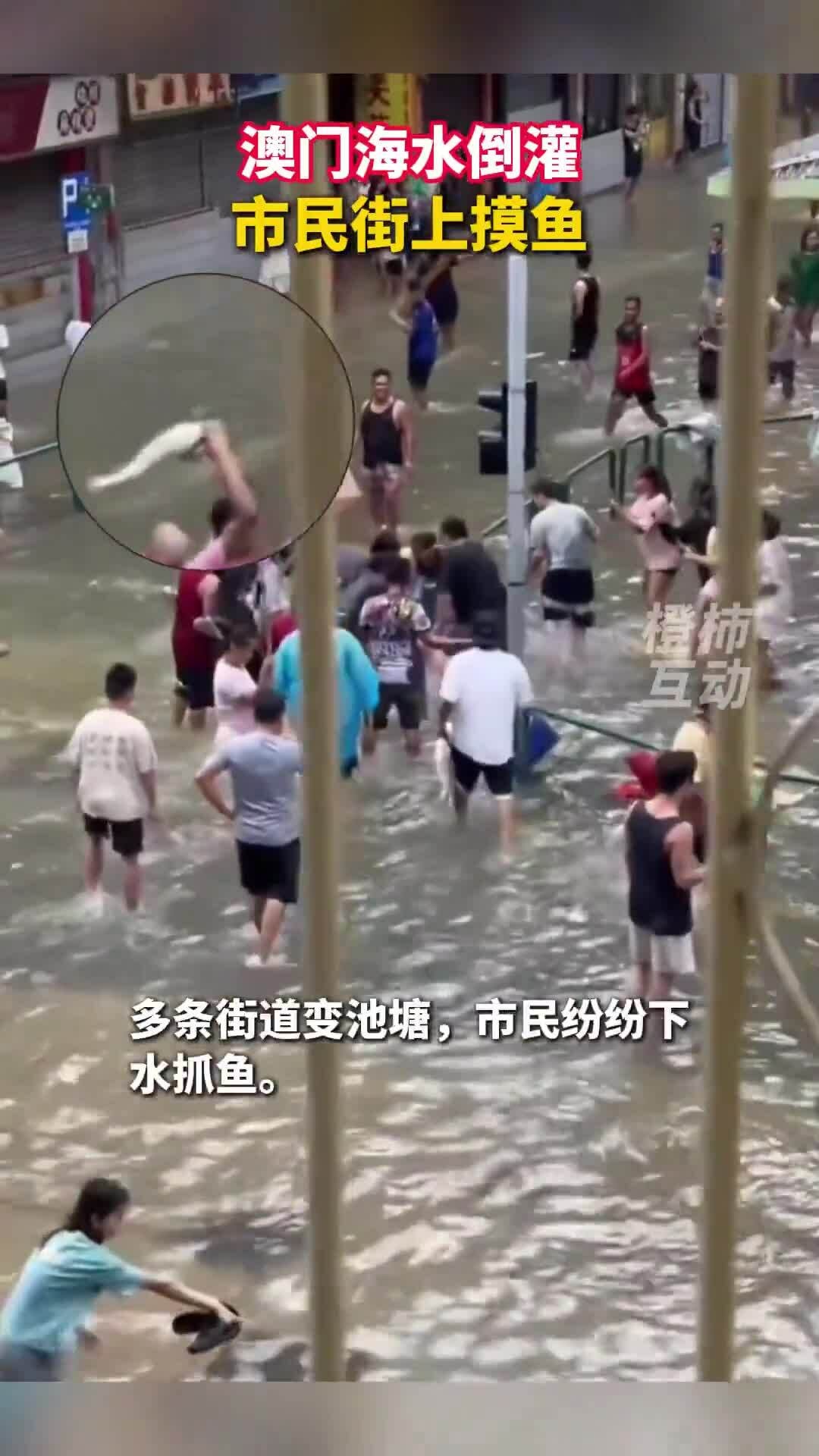 Người Macau nô nức bắt cá trên đường sau bão