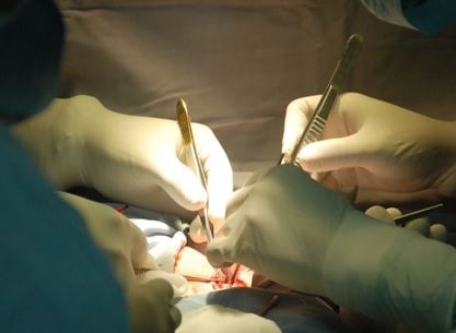 Cụ ông 77 tuổi mắc ung thư bị bác sĩ cắt nhầm thận khoẻ mạnh - Ảnh 1.