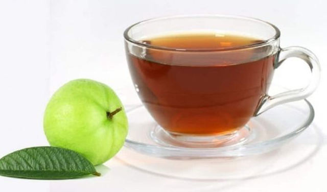 Đừng chỉ ăn quả, lá loại cây này quý như "nhân sâm của người nghèo", nhiều người không biết thường bỏ phí - Ảnh 2.