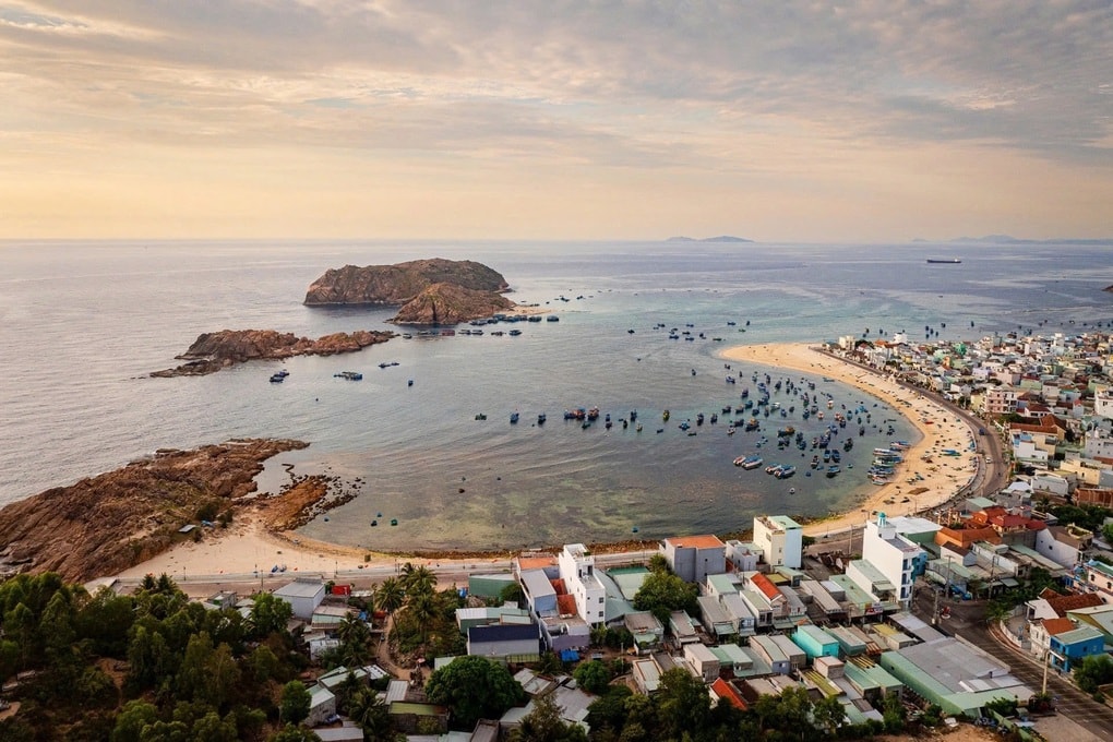 Hoa dong riềng nở rộ trên núi lửa triệu năm, hút khách đến Gia Lai check-in - 4 Hoa dong riềng nở rộ trên núi lửa triệu năm, hút khách đến Gia Lai check-in - 4
