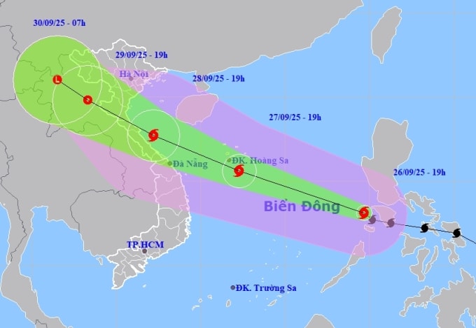 Dự báo hướng đi và vùng ảnh hưởng của bão Bualoi, tối 26/9. Ảnh: NCHMF