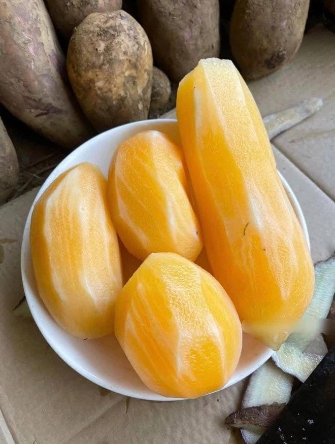 Sâm đất - Món quà từ lòng đất ăn giòn ngon lại mát, để càng lâu càng ngọt  - Ảnh 6.