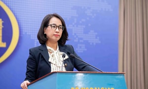 Đề nghị Hoa Kỳ cân nhắc lại việc dừng nhập khẩu 12 nhóm hải sản Việt Nam từ 2026