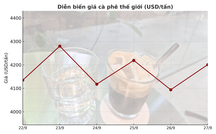 Giá cà phê hôm nay 27-9: Tăng mạnh do đâu?- Ảnh 2. Giá cà phê hôm nay 27-9: Tăng mạnh do đâu?- Ảnh 2.