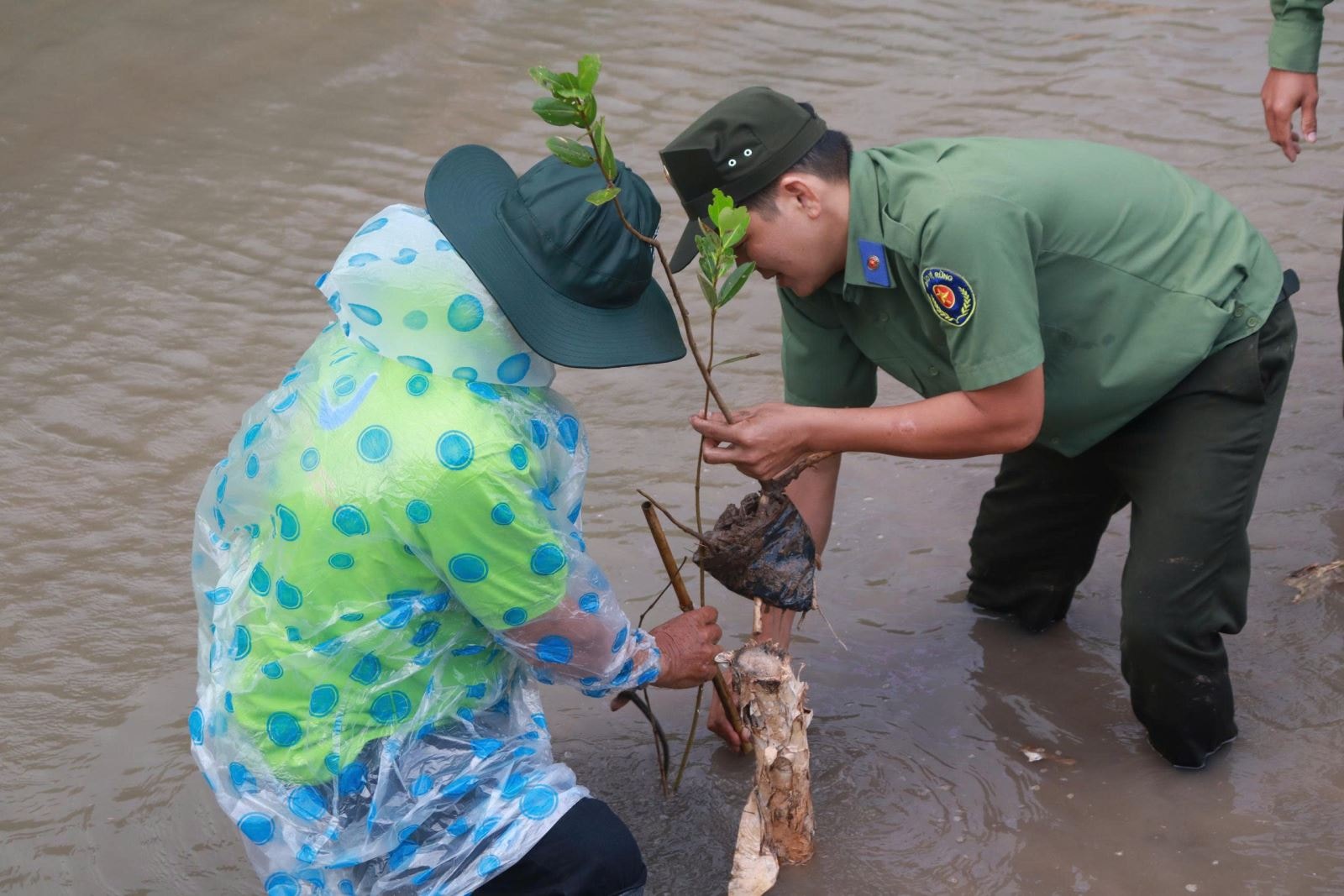 Chú thích ảnh
