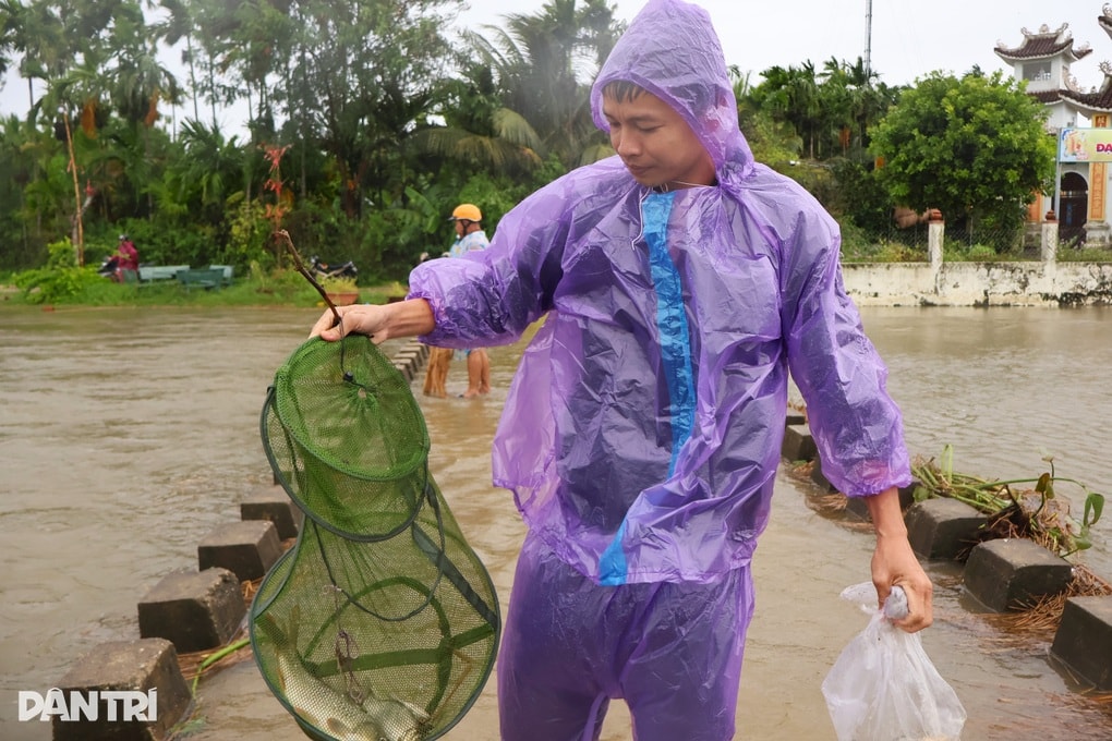 Bất chấp mưa bão, người dân vẫn đổ xô ra đồng kiếm “lộc trời” - 2